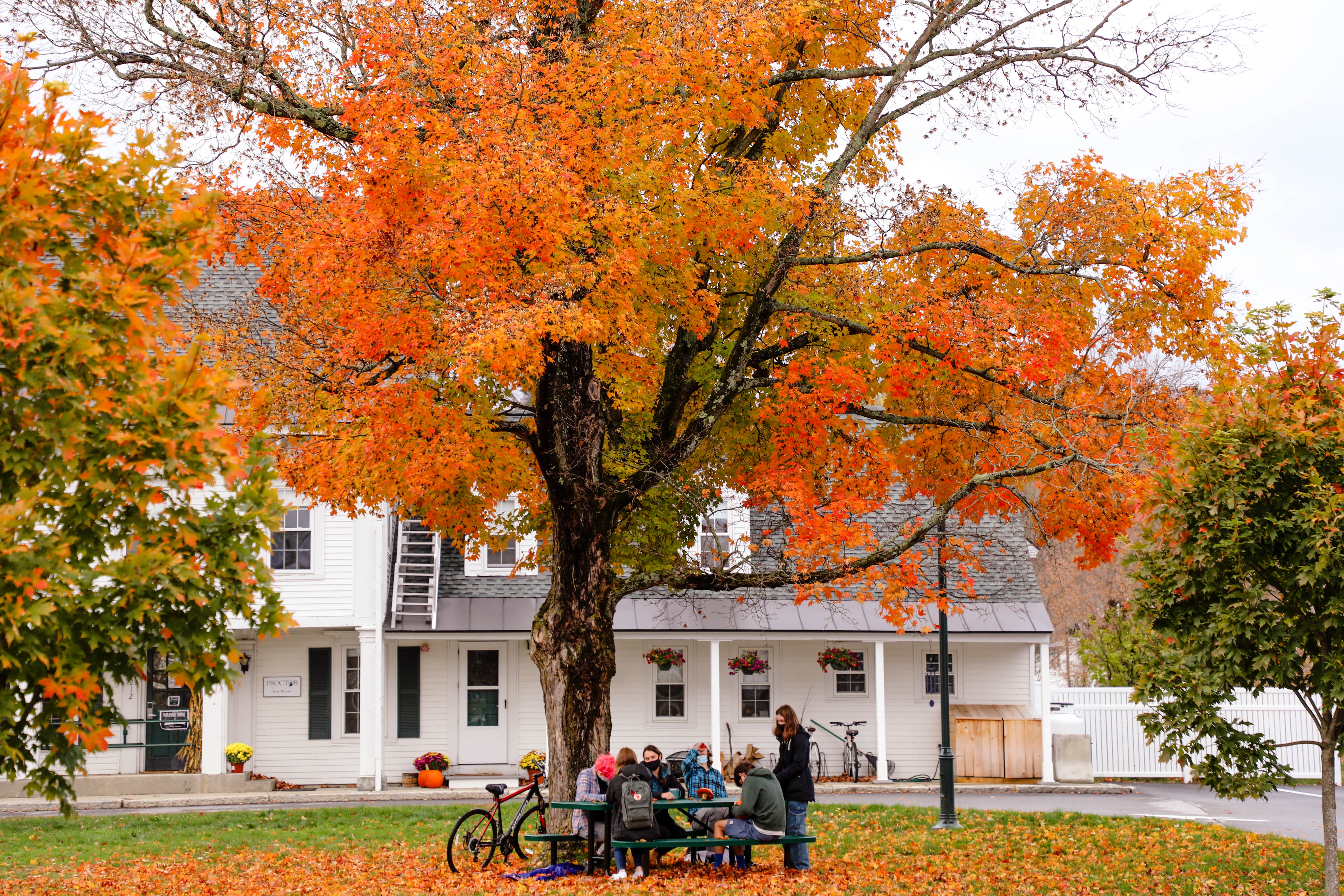 Proctor Academy Boarding Prep School New EnglandProctor Academy Boarding Prep School New England