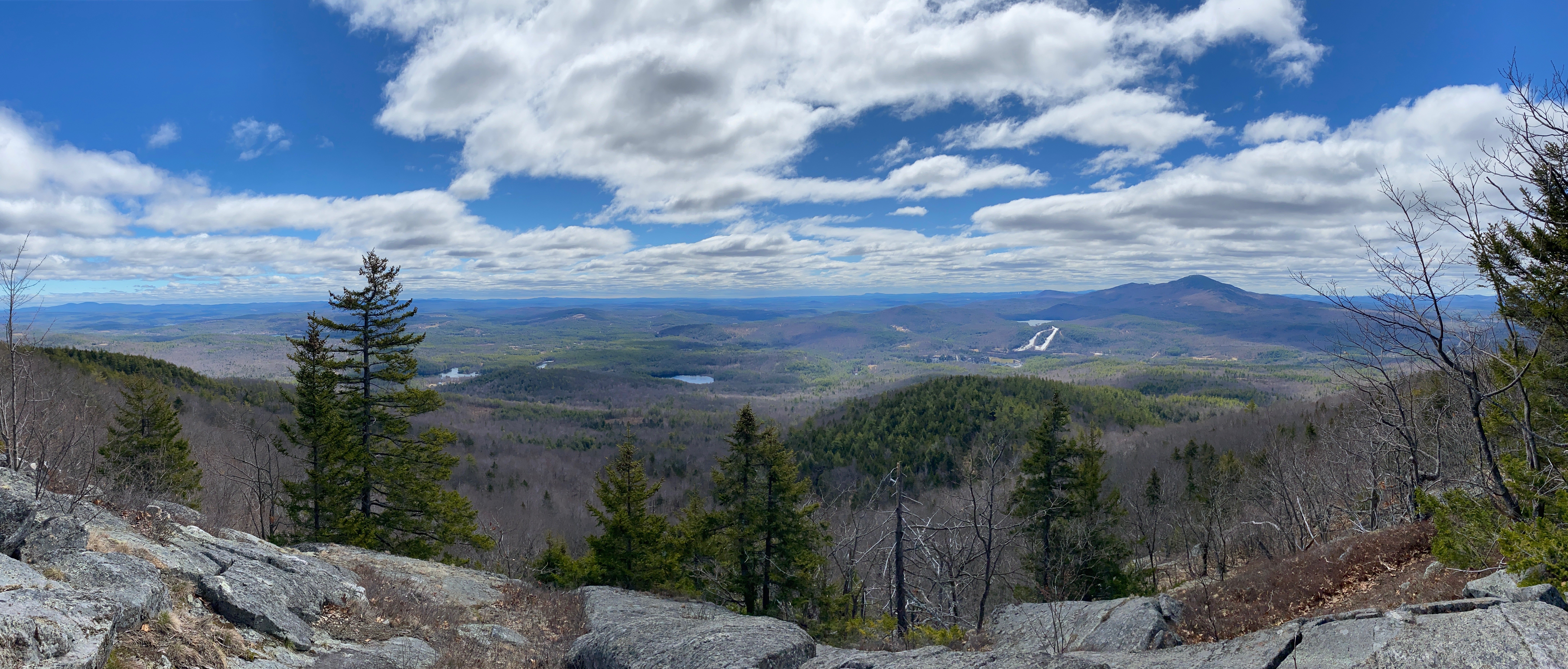 Proctor Academy Woodlands 2,500 Acres