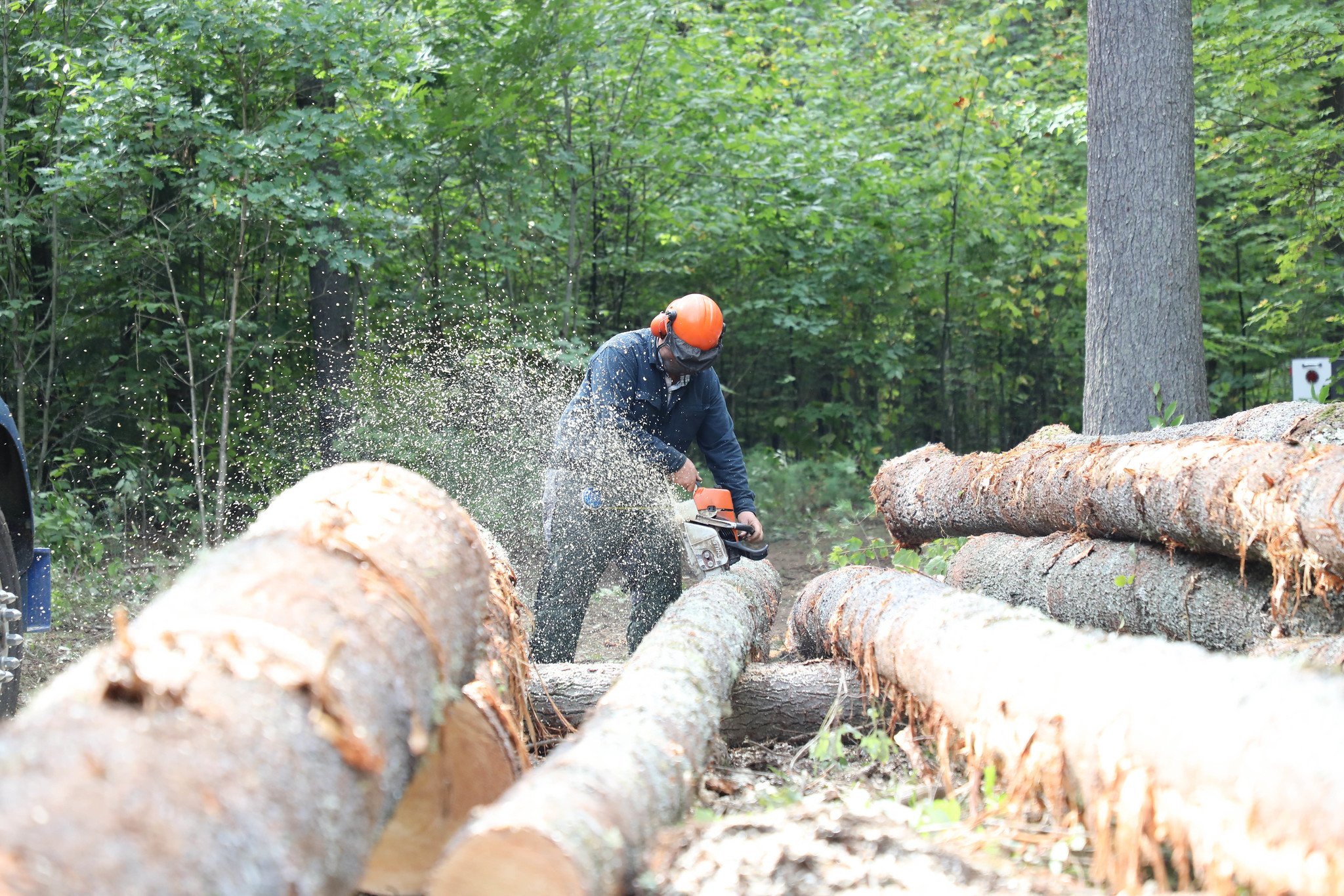 Proctor Academy Campaign Woodlands Center