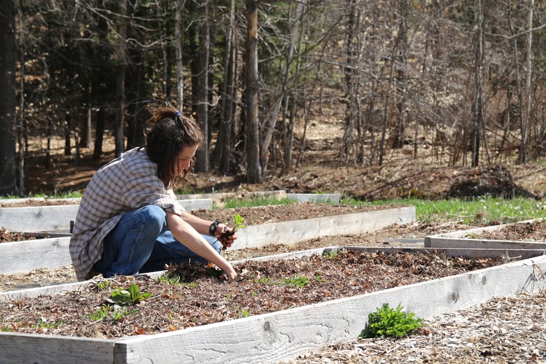 Proctor Academy Earth Day