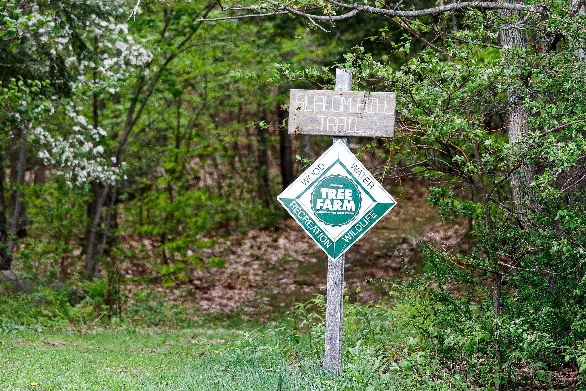 Valuing a Sense of Place: The Proctor Woodlands