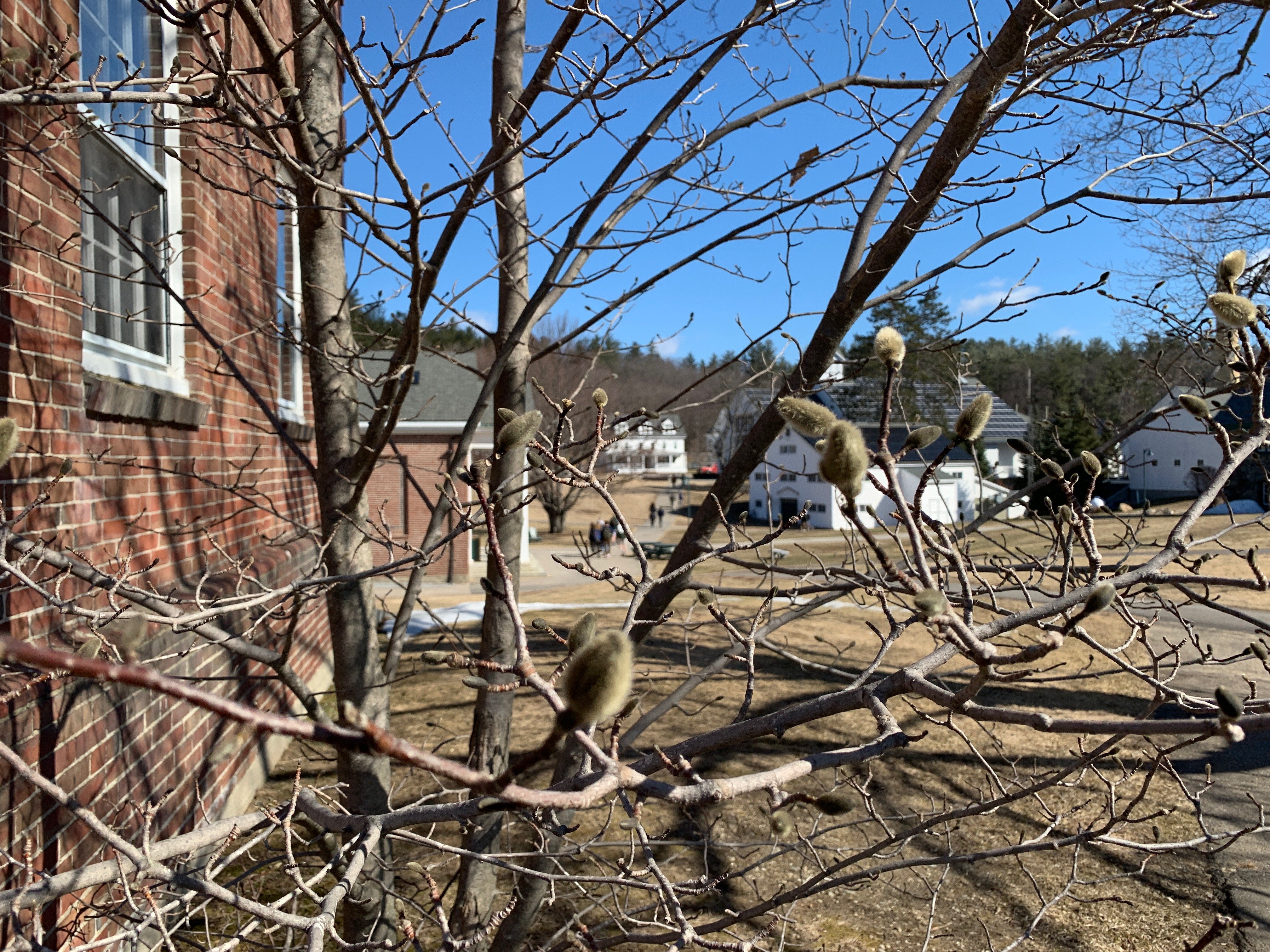 Proctor Academy Boarding School New England