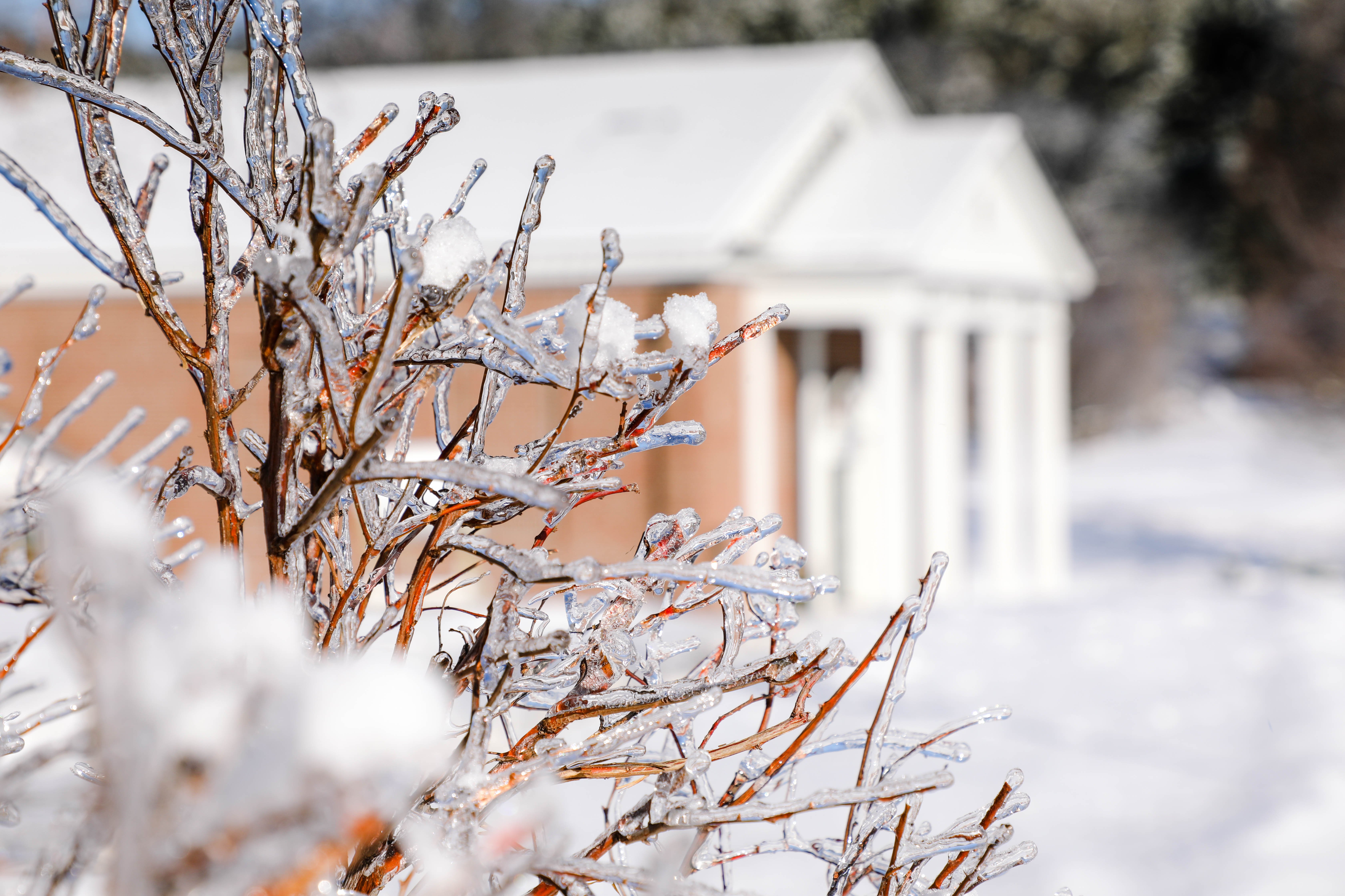 Proctor Academy Boarding Prep School New England