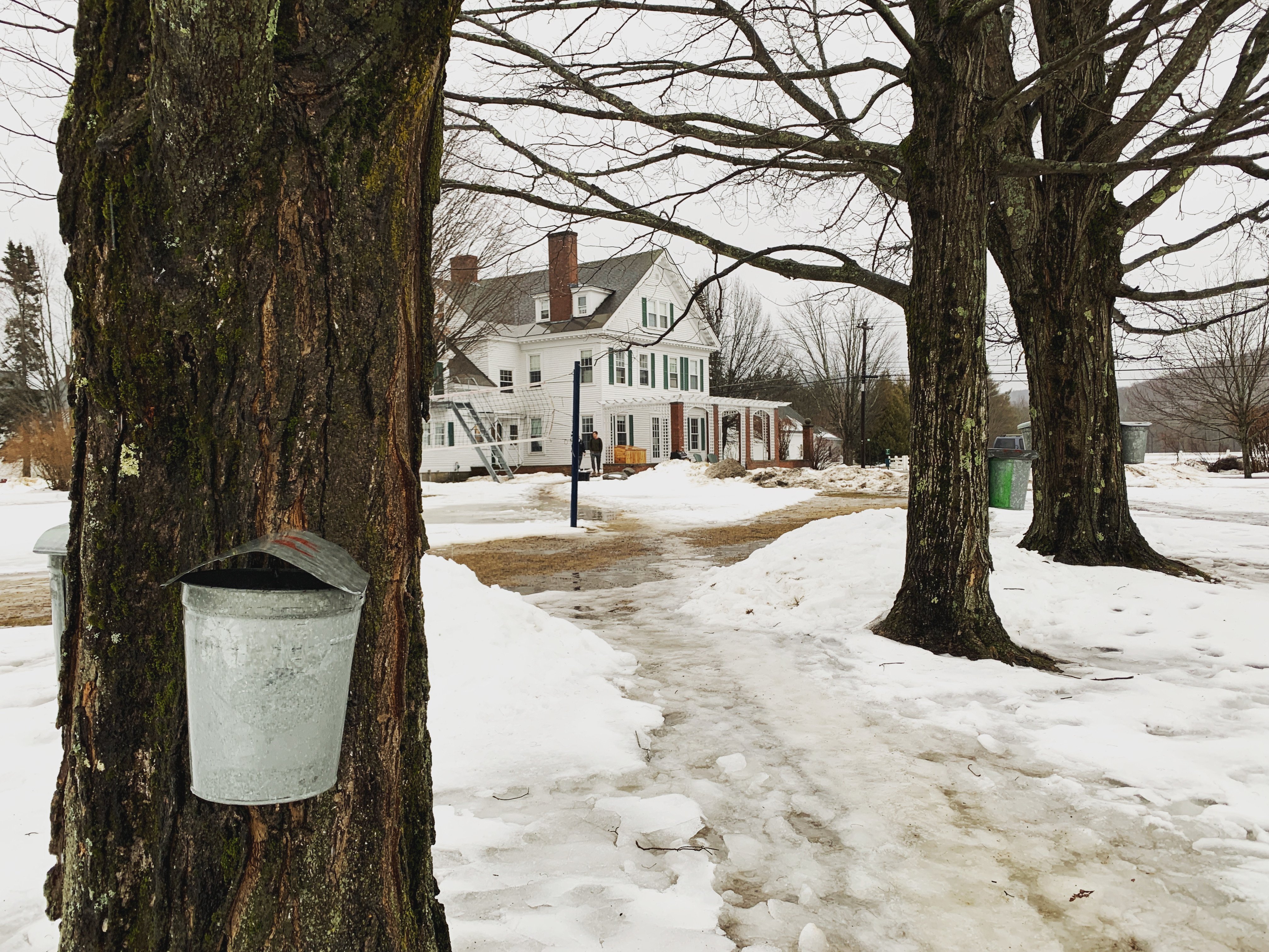 Proctor Academy Boarding Prep School New EnglandProctor Academy Boarding Prep School New England