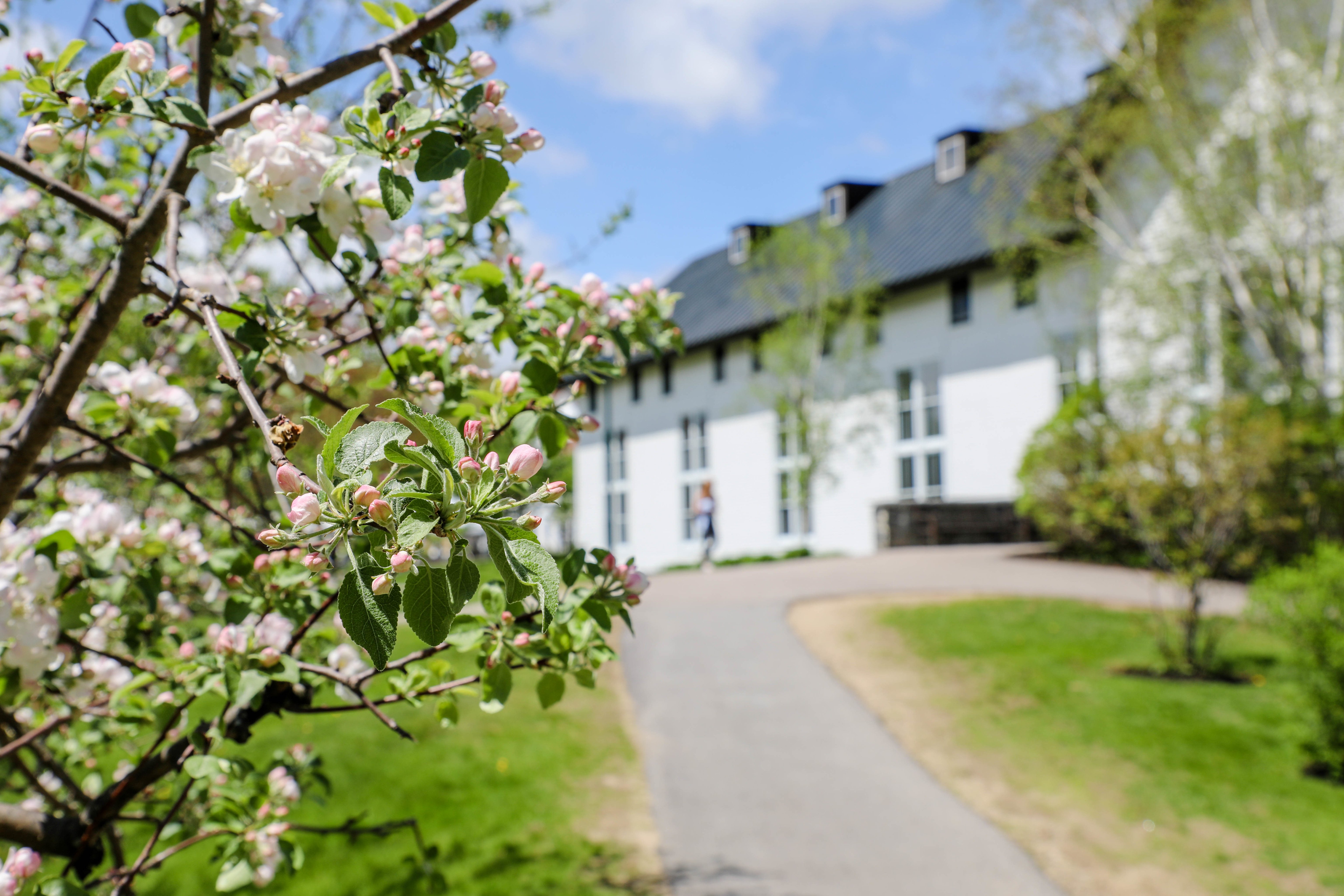 Proctor Academy Boarding Prep School New England