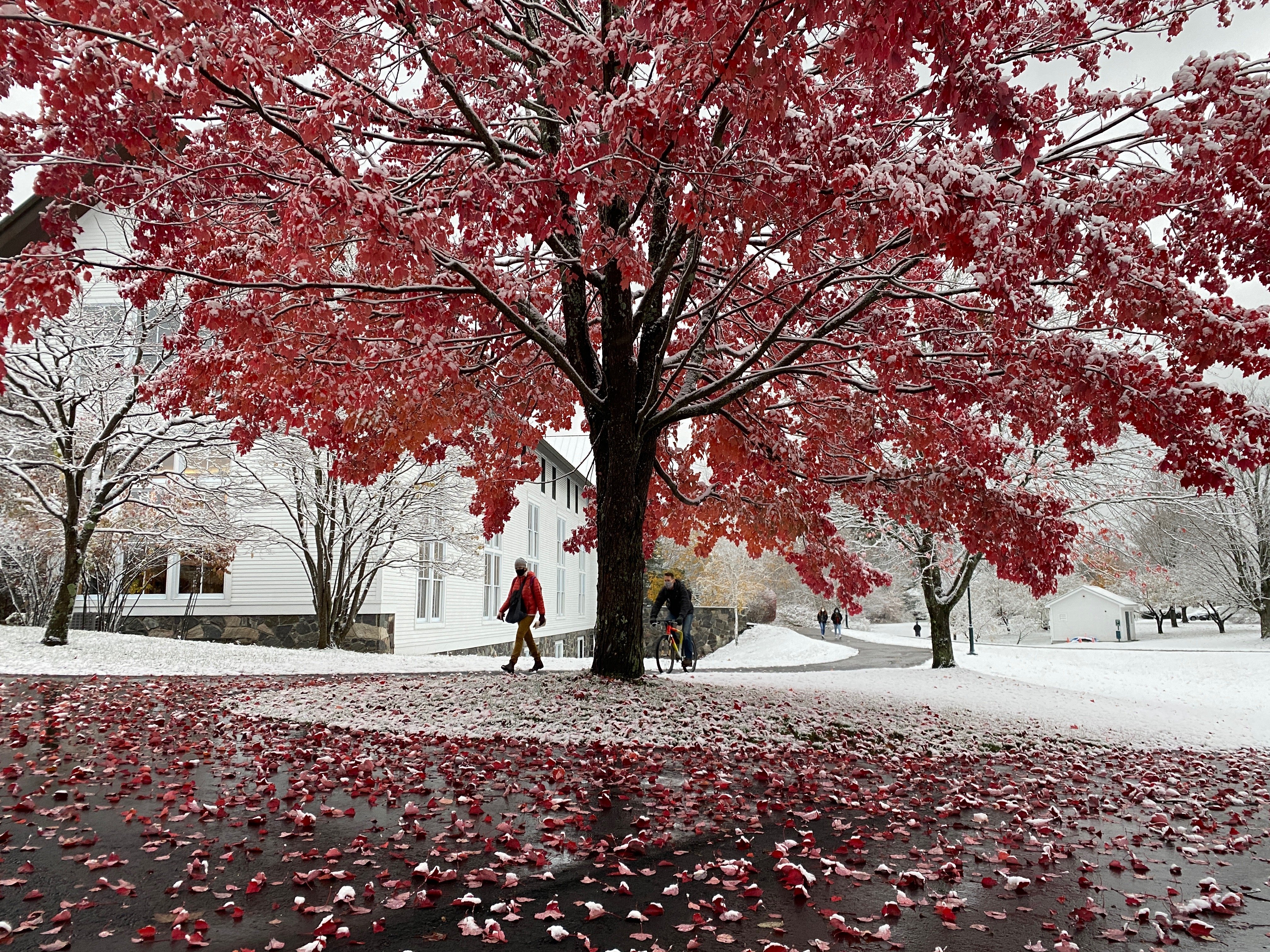 Proctor Academy Boarding Prep School New EnglandProctor Academy Boarding Prep School New England