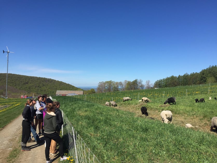 Proctor Academy Mountain Classroom program