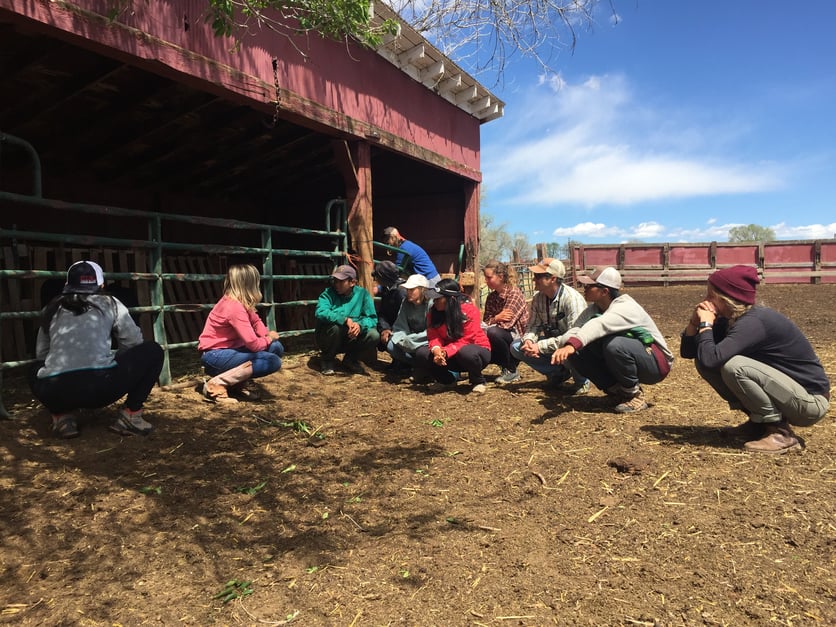 5_CO_Crouching to Not Scare the Calves.jpg