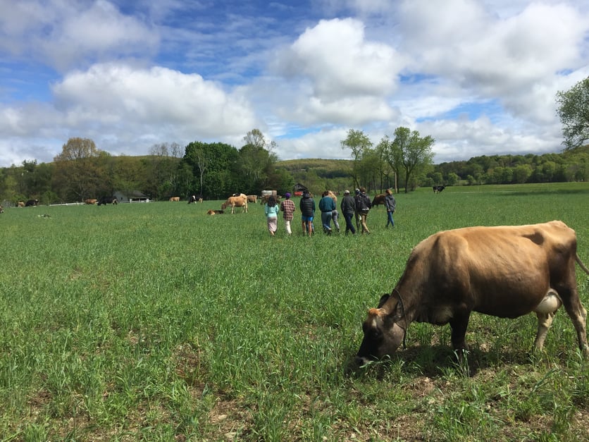 7_NY_Visiting Chaseholm Dairy 2.jpg