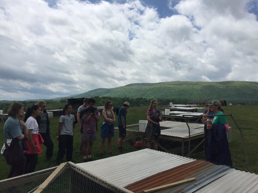 7_WV_Learning about Chicken Tractors at Polyface Farm.jpg