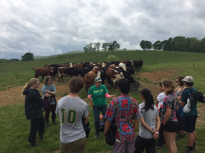 7_WV_Learning about Cows at Polyface Farm.jpg