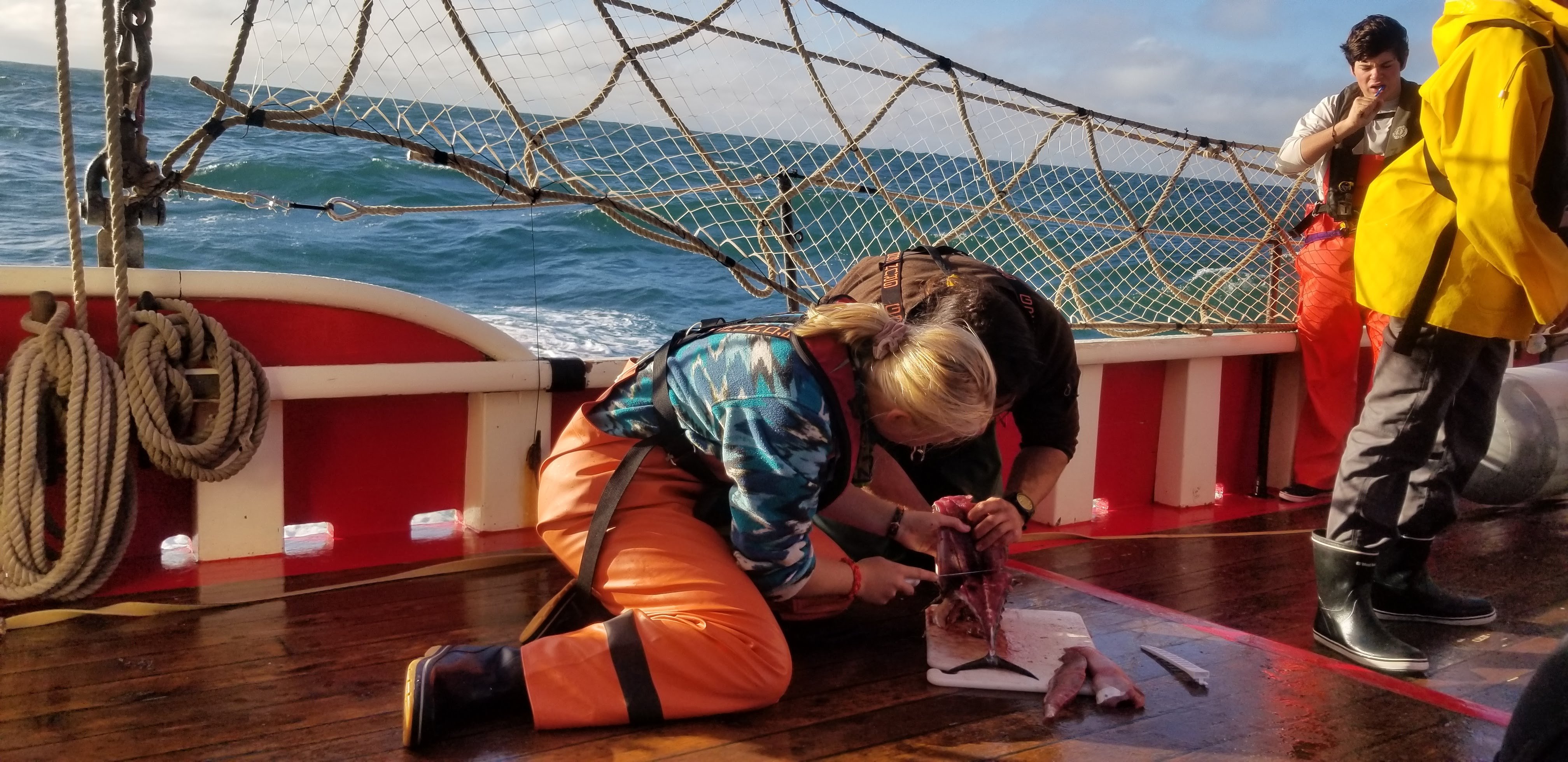 Proctor Academy Ocean Classroom World Ocean School