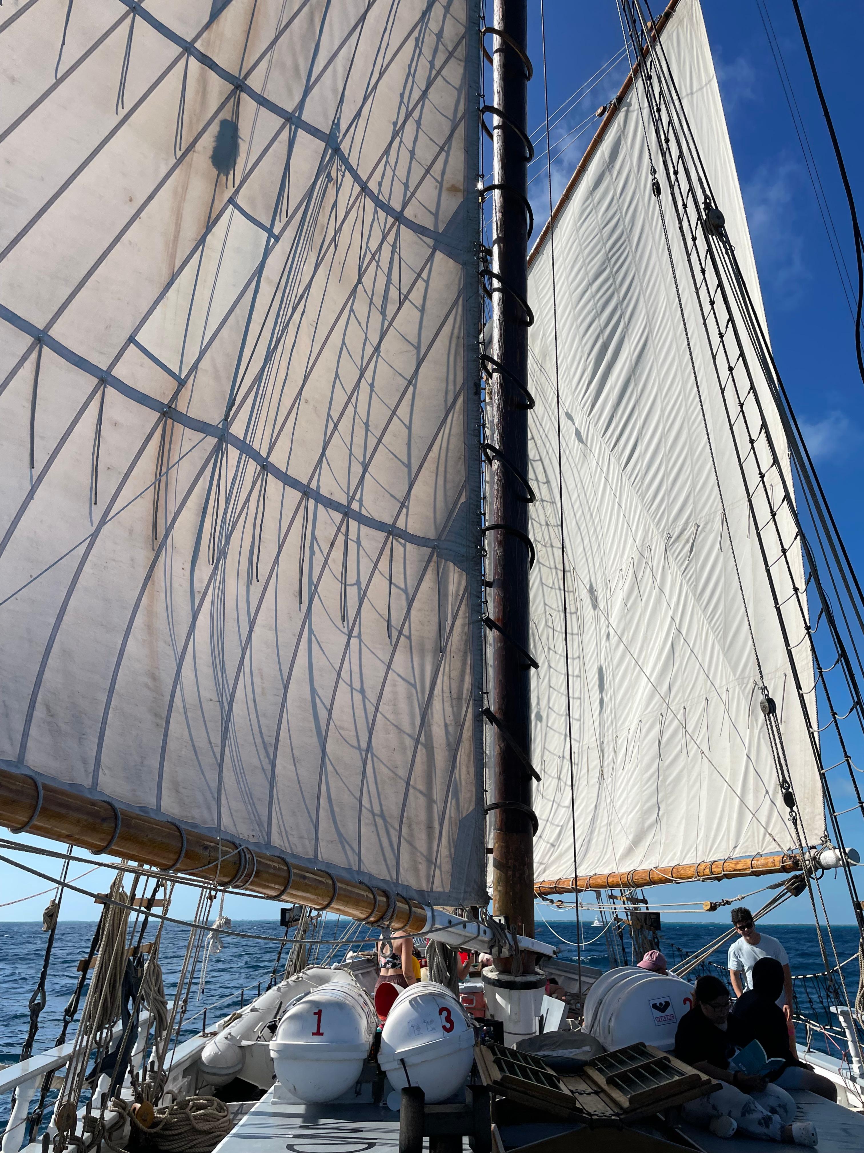 Proctor Academy Ocean Classroom Sailing Ships Maine