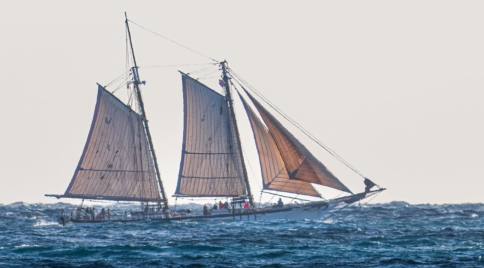 Proctor Academy Ocean Classroom Sailing Ships Maine