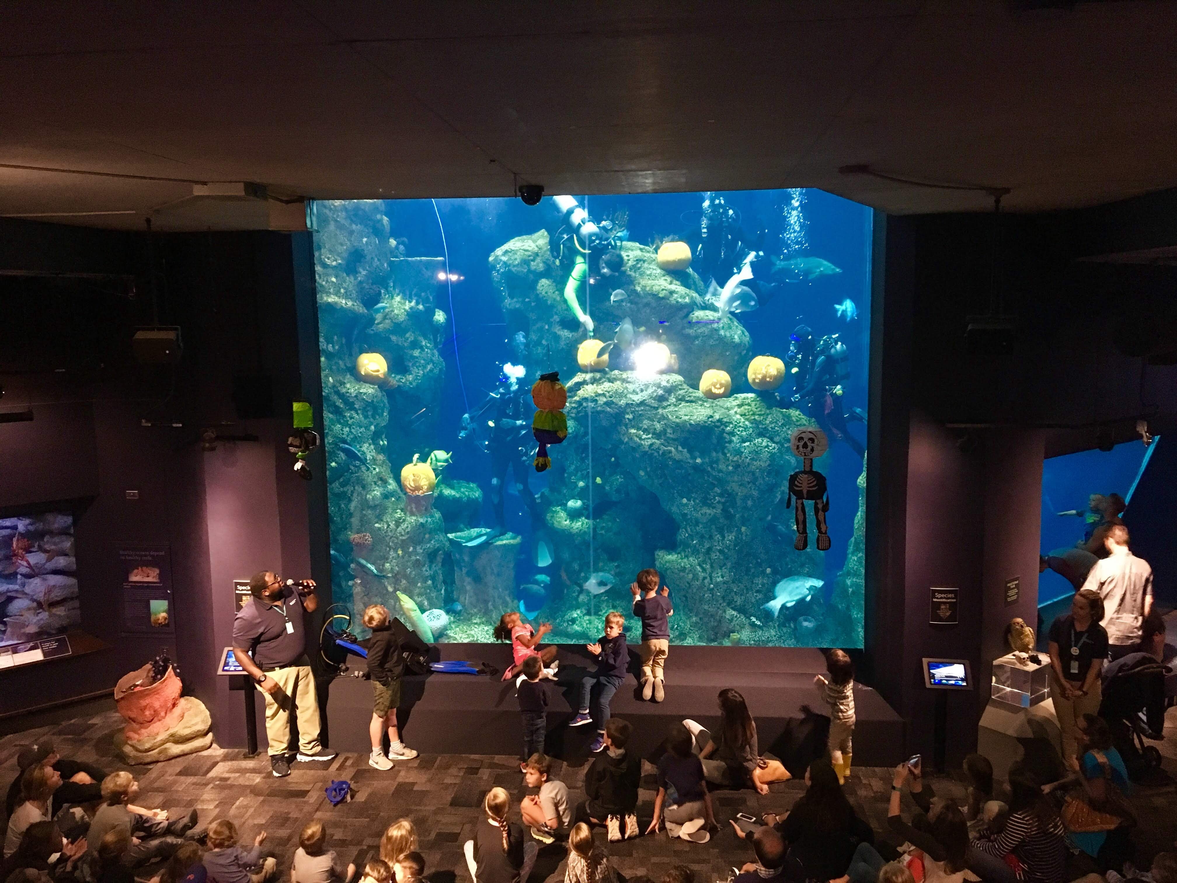 Proctor Academy Ocean Classroom World Ocean School