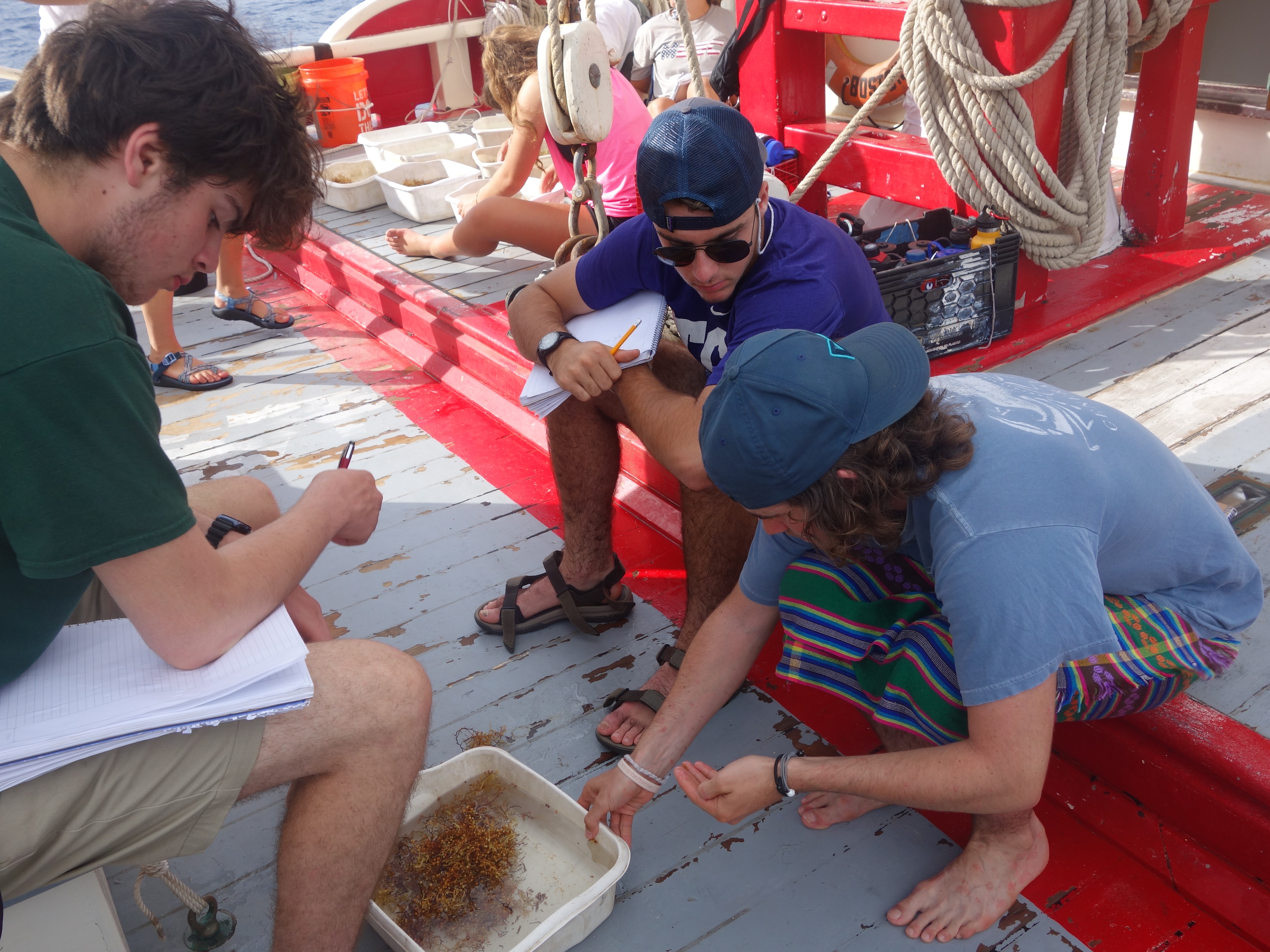 Proctor Academy Ocean Classroom Program