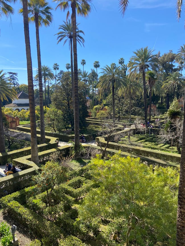 Proctor en Segovia studies the history and architecture of the Alcázar of Sevilla