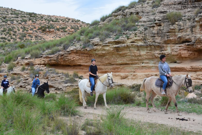 Proctor en Segovia horseback riding in Cabo de Gata national park