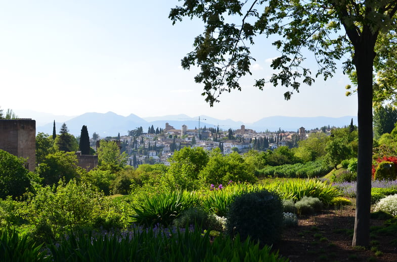 Proctor en Segovia visits Granada