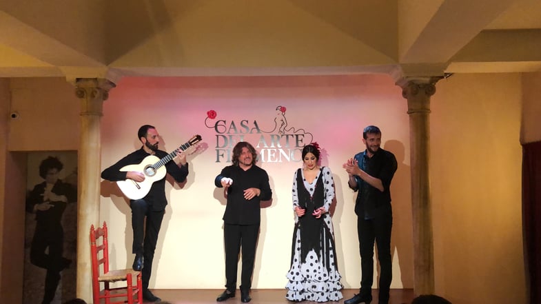 Proctor en Segovia students attended a flamenco performance.