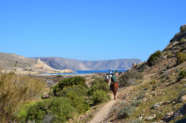 Proctor en Segovia visits Cabo de Gata