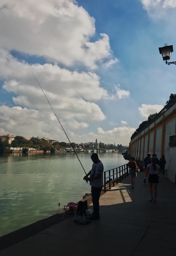 Proctor en Segovia visits Sevilla