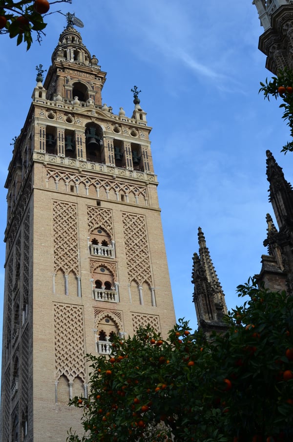 Proctor en Segovia visits the Cathedral of Sevilla