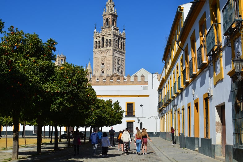 Proctor en Segovia visits Sevilla