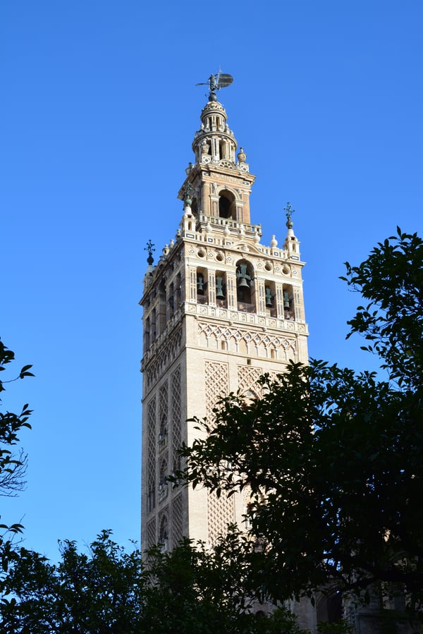 Proctor en Segovia visits the Cathedral of Sevilla