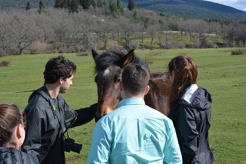 Proctor en Segovia Proctor Academy Off-Campus Program Experiential Learning High School