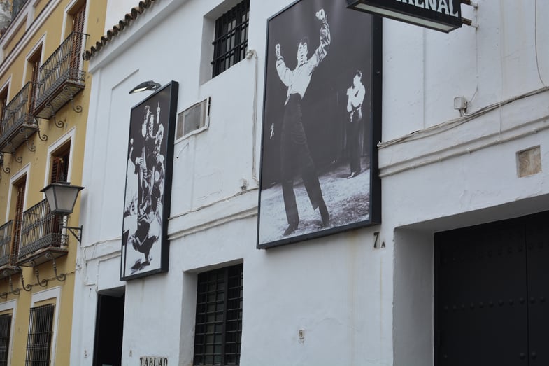 Proctor en Segovia watches flamenco in Sevilla