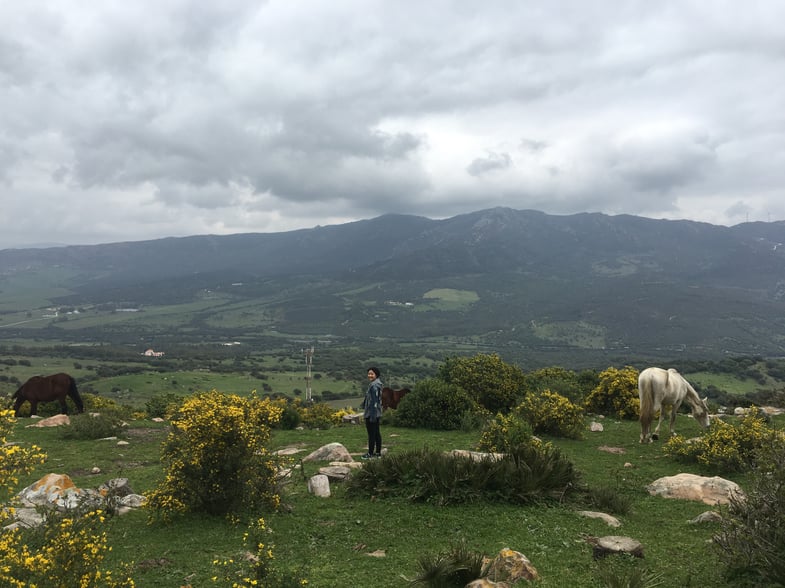 Proctor en Segovia visits the Strait of Gibraltar