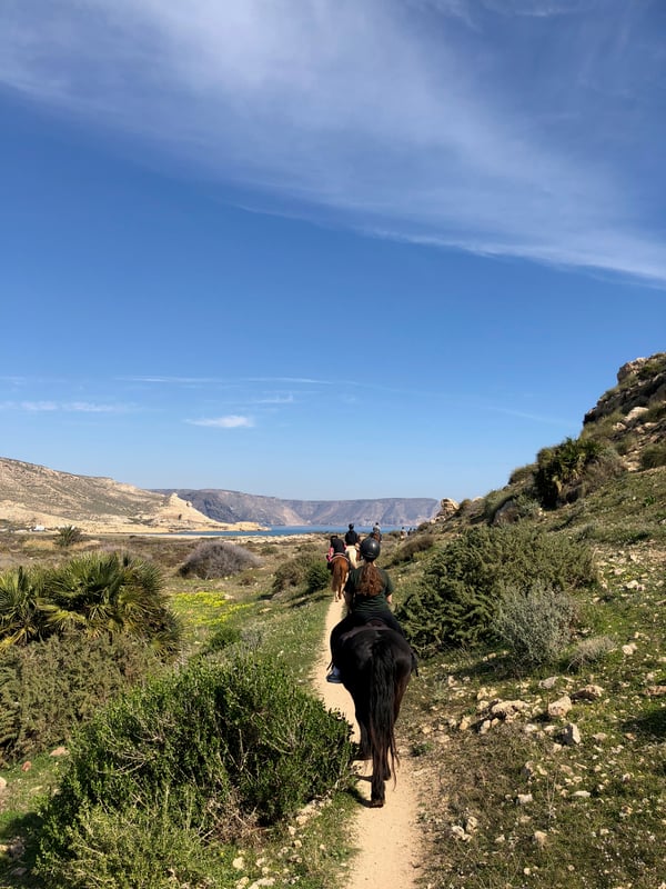 Proctor en Segovia visits Cabo de Gata