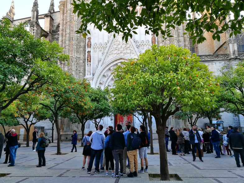 Proctor en Segovia visits the Catedral de Sevilla